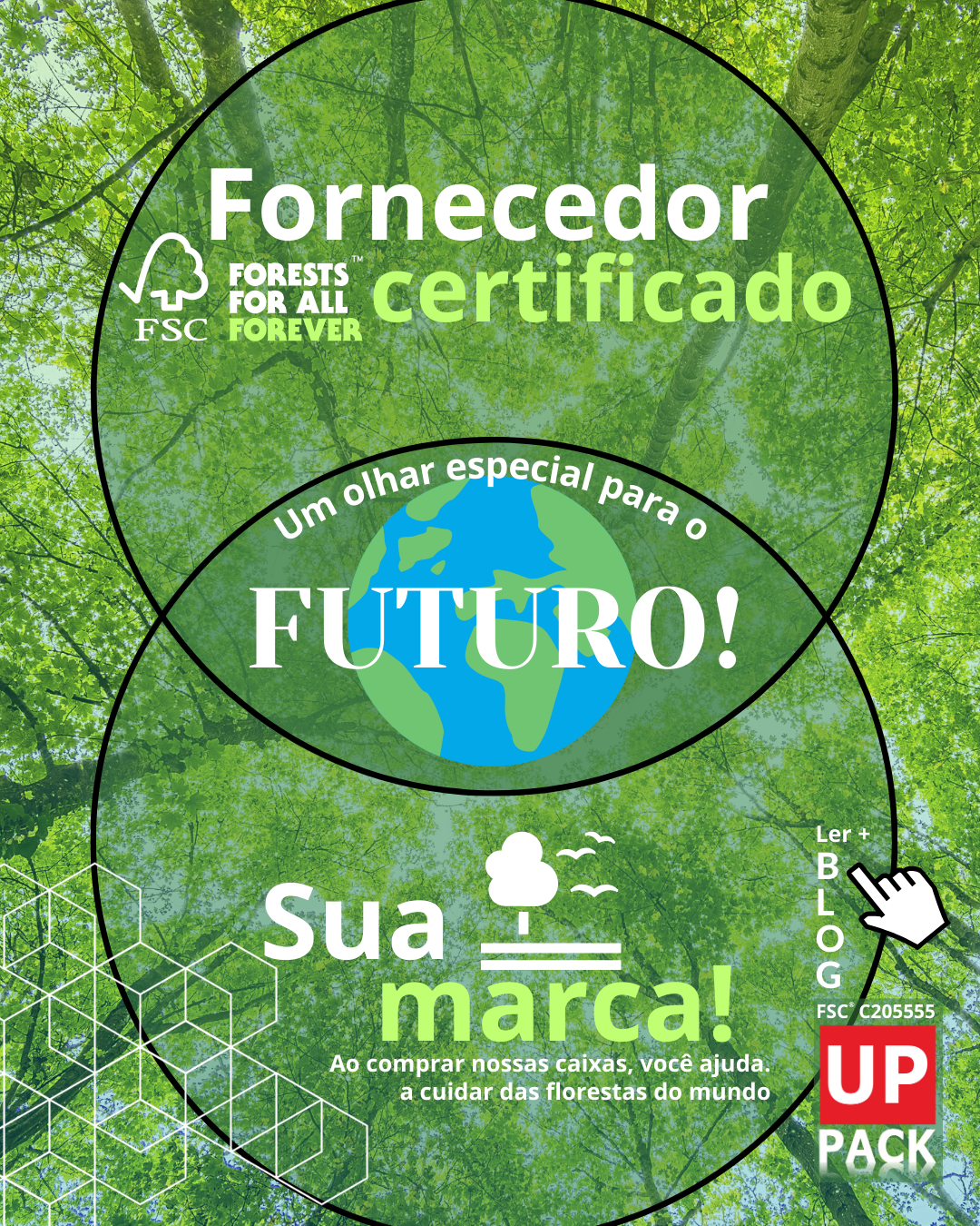 Um olhar especial para o futuro: por que o selo FSC® importa para sua marca?